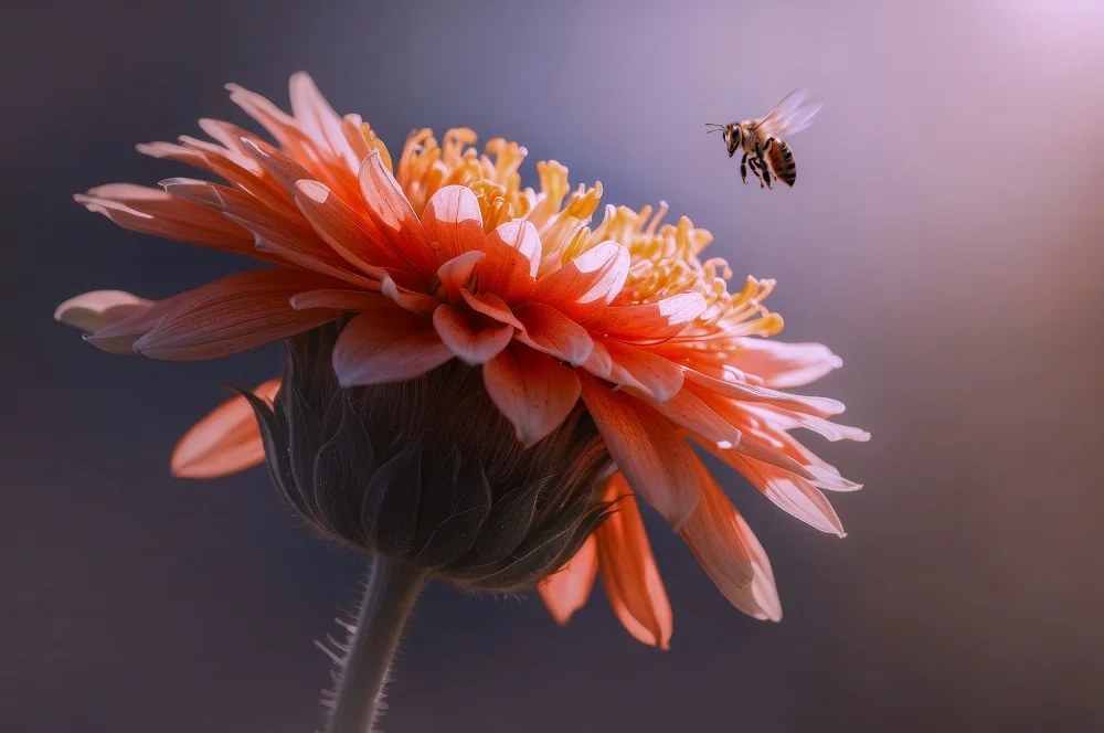 Pamungkas, Edy: Bee Flying on the Flower