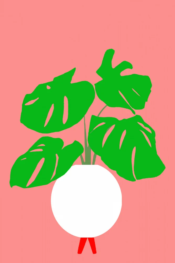 C, Project: Potted Monstera Plant 2