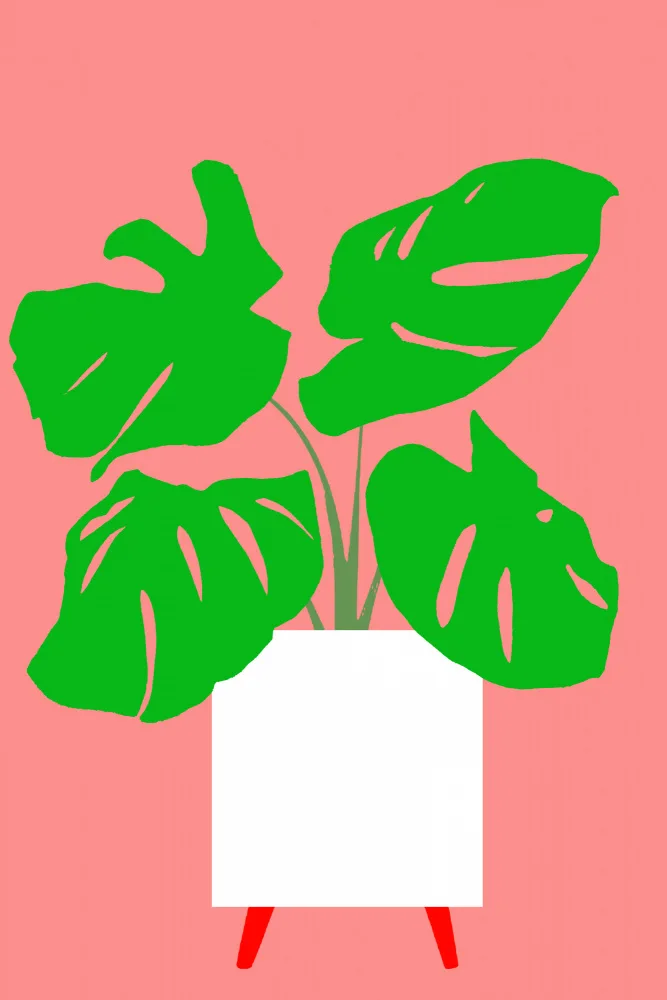 C, Project: Potted Monstera Plant 1