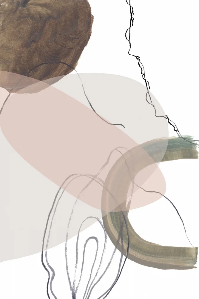 C, Project: Soft Shapes 1