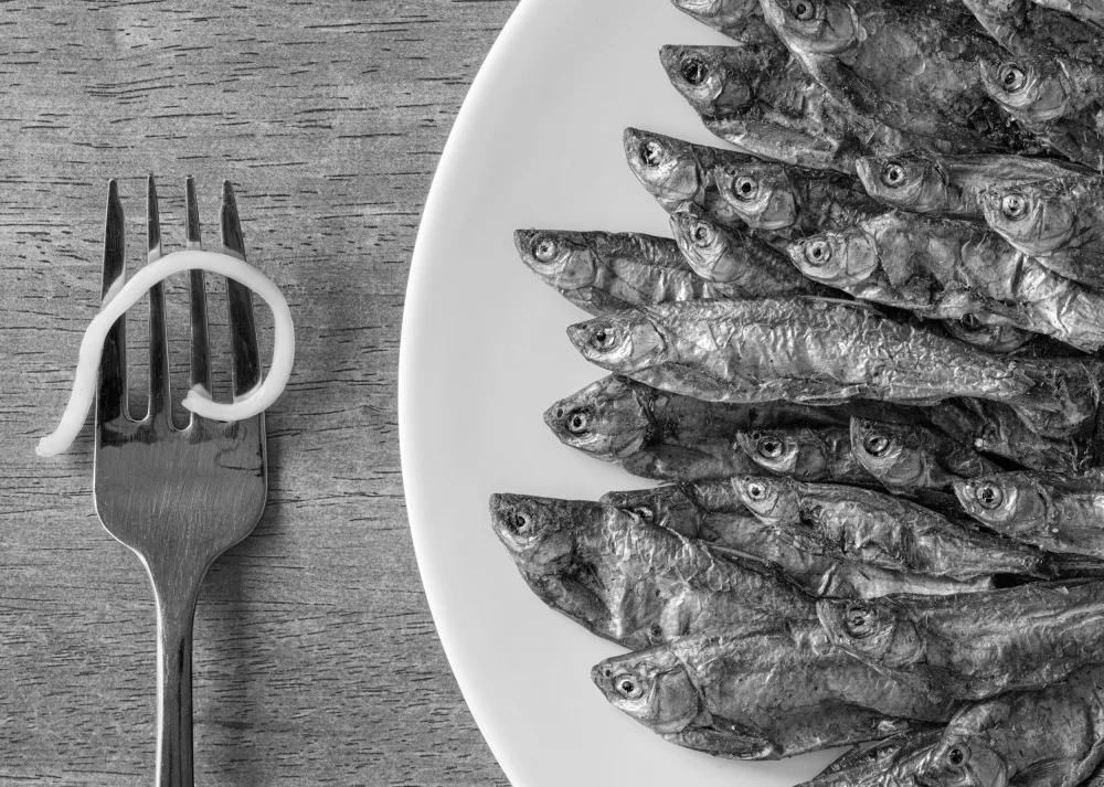 Perlow, Gary: Hungry Fish