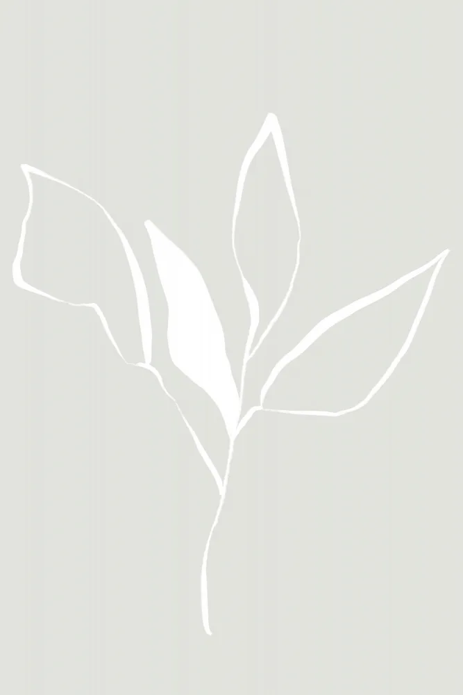 uplusmestudio: Soft Flower
