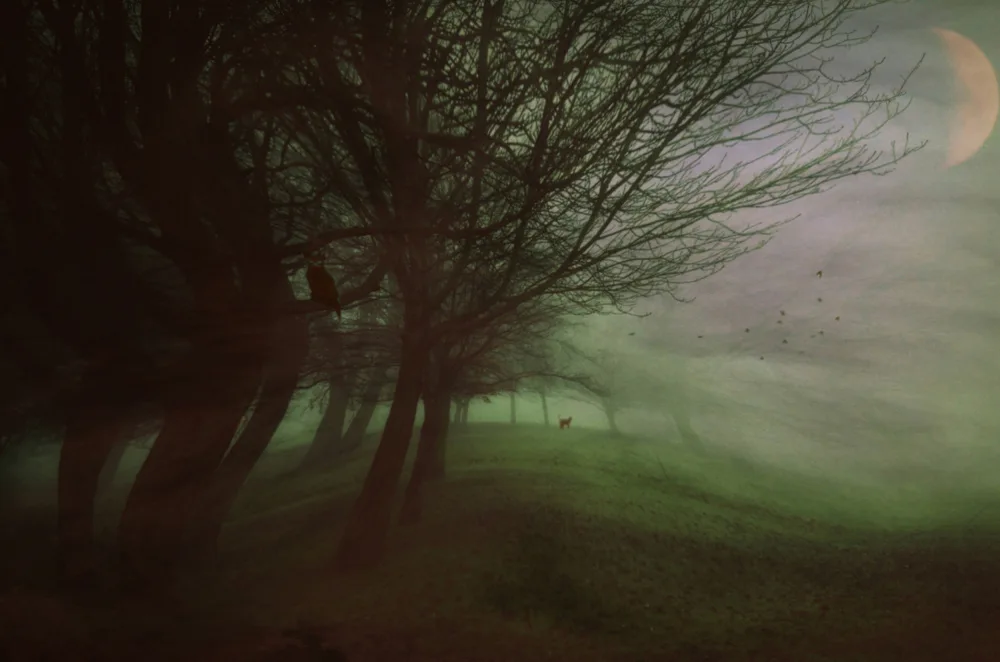 Fabrowski, Robert: Mysterious Night...