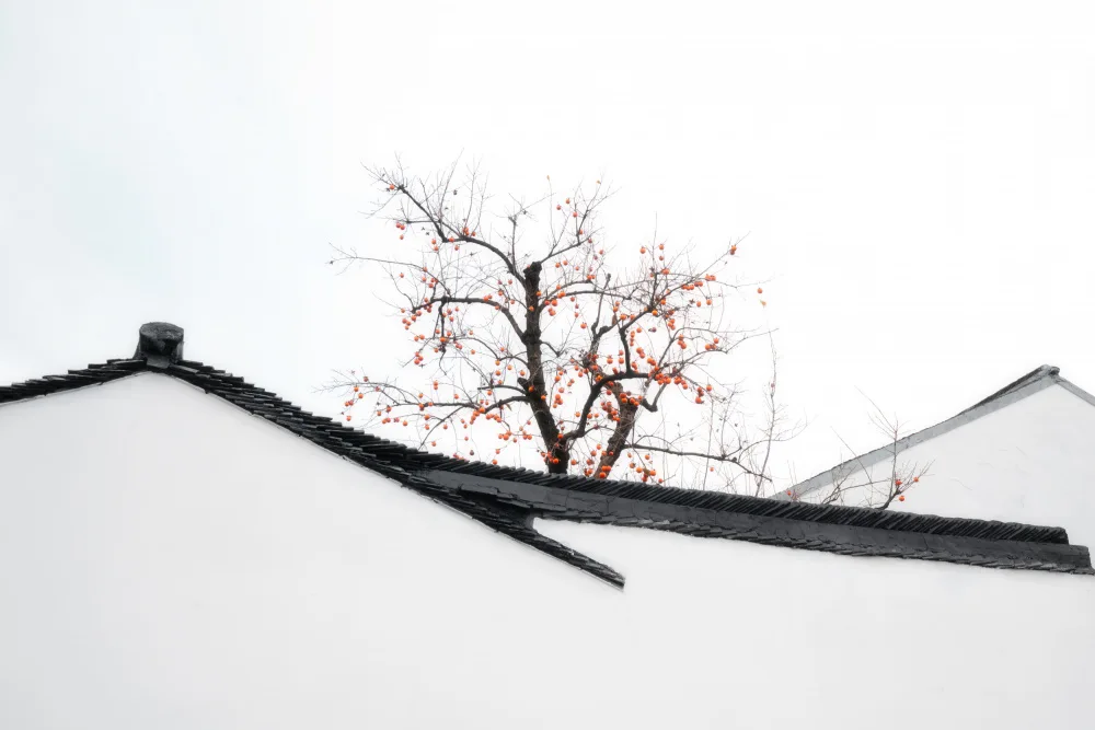 Feng, Calvin: Chinese painting style buildings