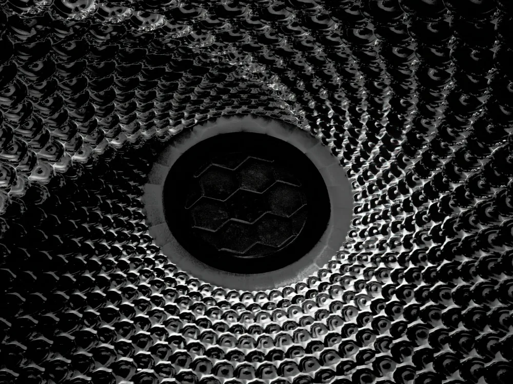 FF, Chia David: Black Hole
