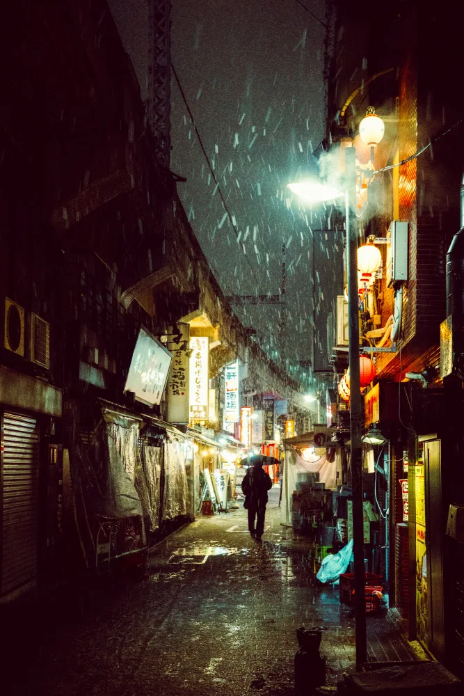 Hasegawa, Takashi: In una notte nevosa