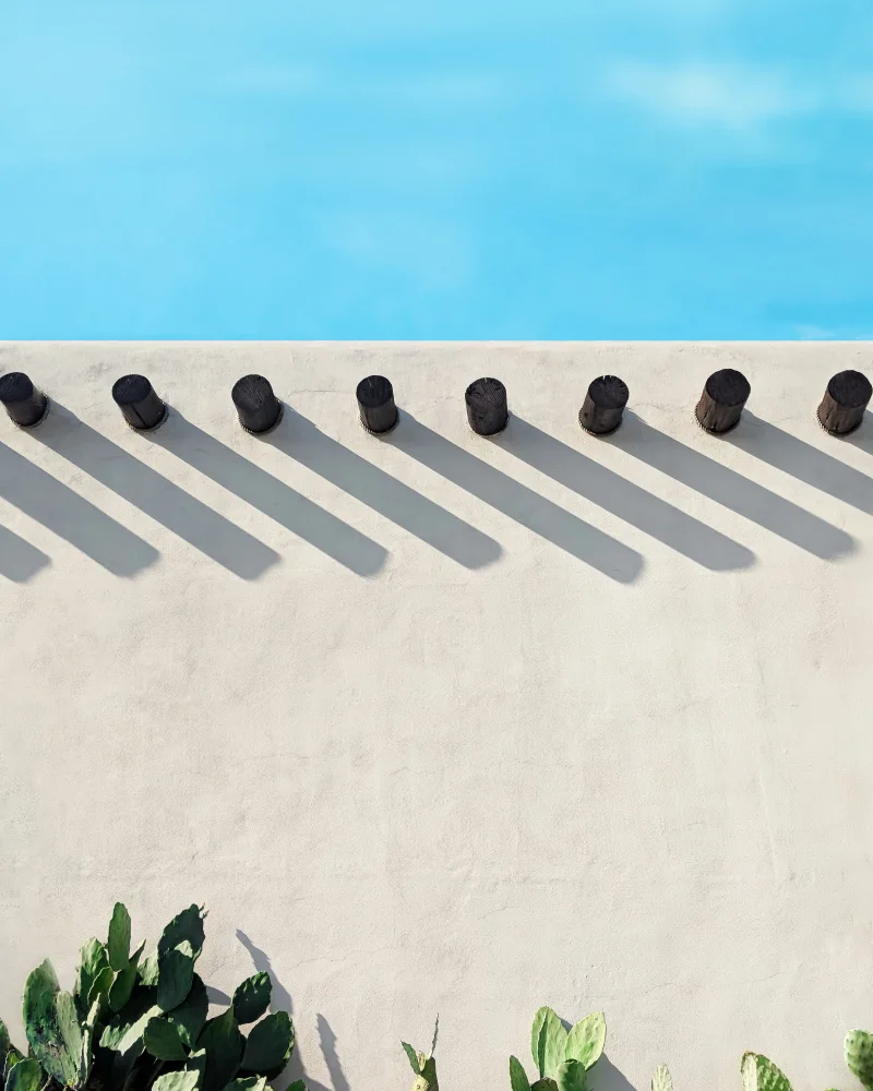 Windeknecht, Tom: Long Shadows