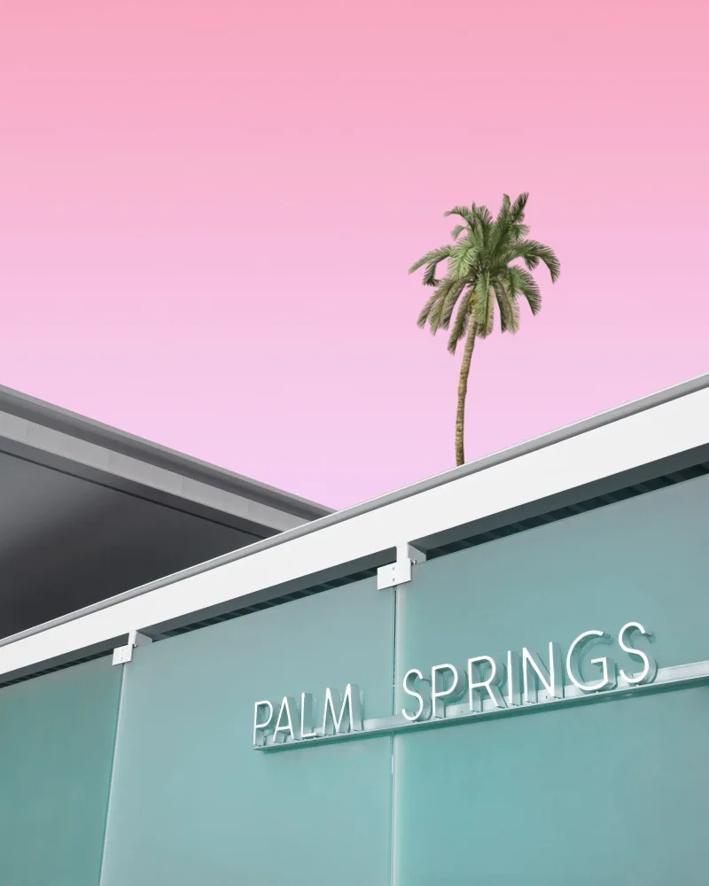 Windeknecht, Tom: Welcome to Palm Springs