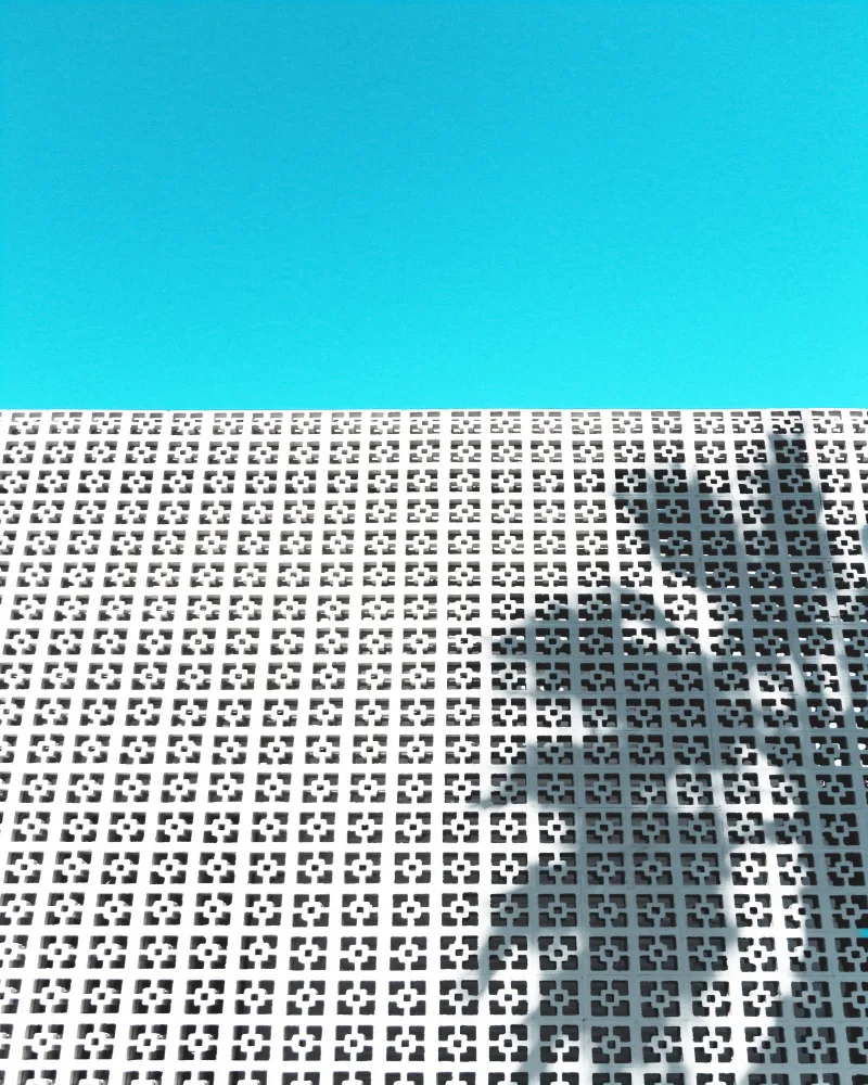Windeknecht, Tom: Parker Palm Shadow in Palm Springs