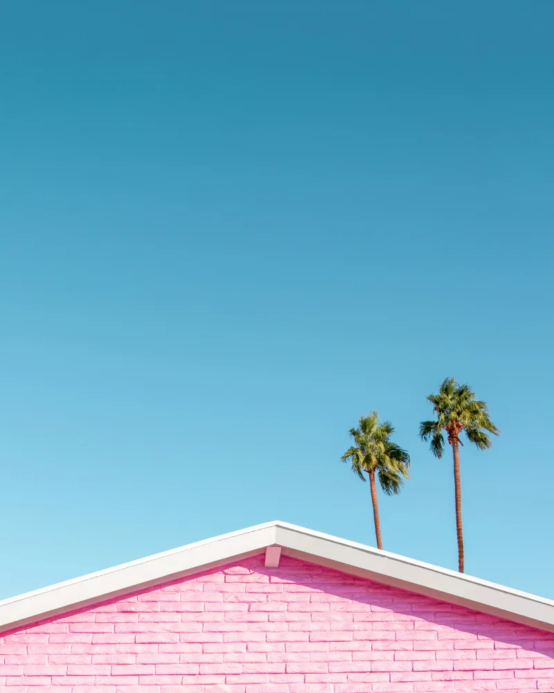 Windeknecht, Tom: Pink Roofline with Palm Trees