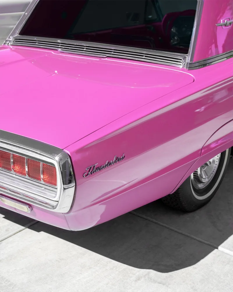 Windeknecht, Tom: Vintage Pink 1965 Thunderbird