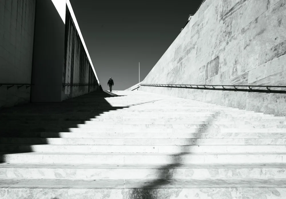 Tudor, Florina: Stairs to light