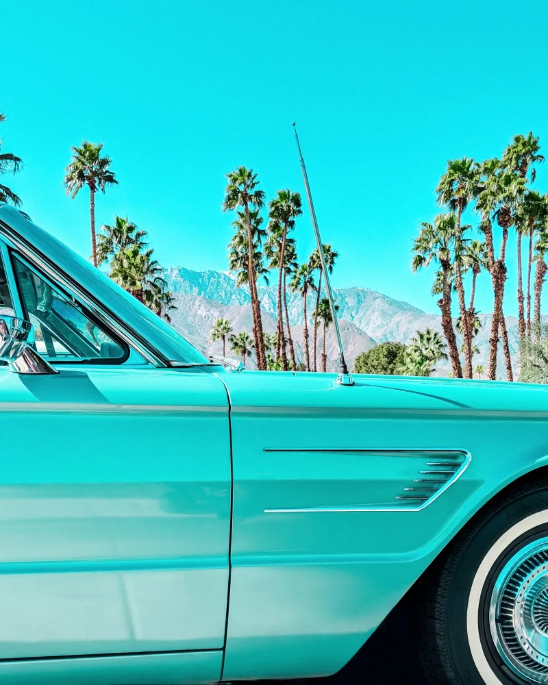 Windeknecht, Tom: Teal Thunderbird in Palm Springs