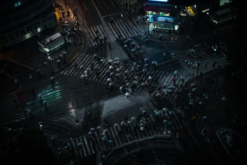 ZHANG, JOSEPH: Shibuya Snow