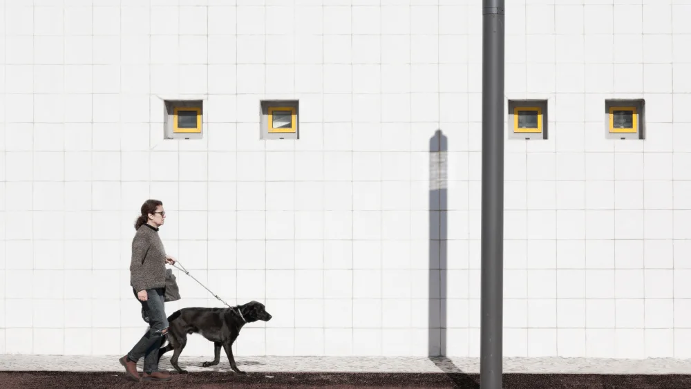 Tänzer, Ina: 4 x yellow