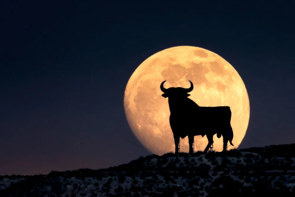 Pérez, Patxi: toro e luna