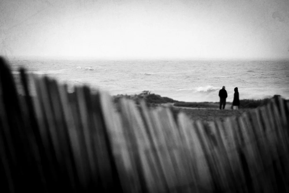 Seita, Milena: Coastline