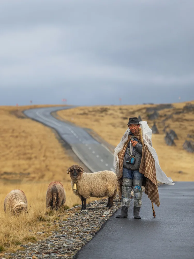 Calin, Silvia Rucsandra: A shepherd by the side of the road