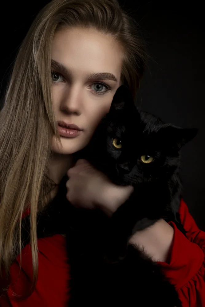 Pop, D. Ovi: Gato negro,camisa roja.