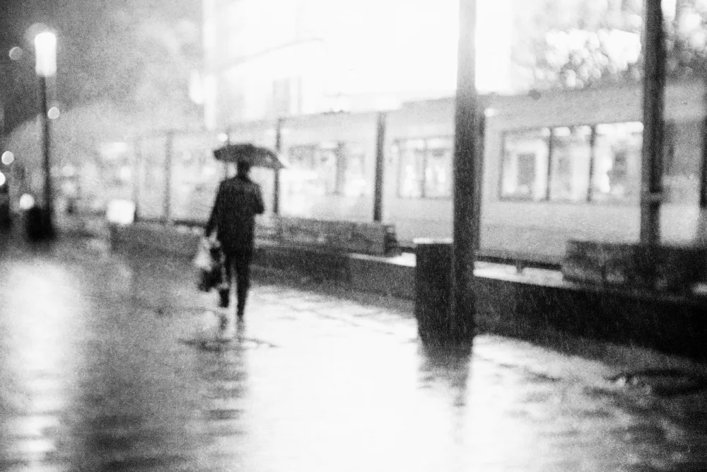 Dauria, Adam: Rainy Düsseldorf Days 2023-11