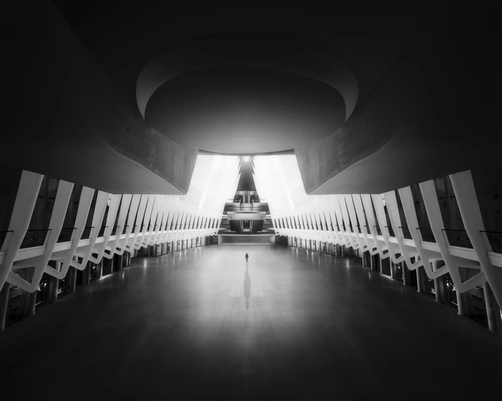 Sobrino, Otero Dani: The Gray Oculus