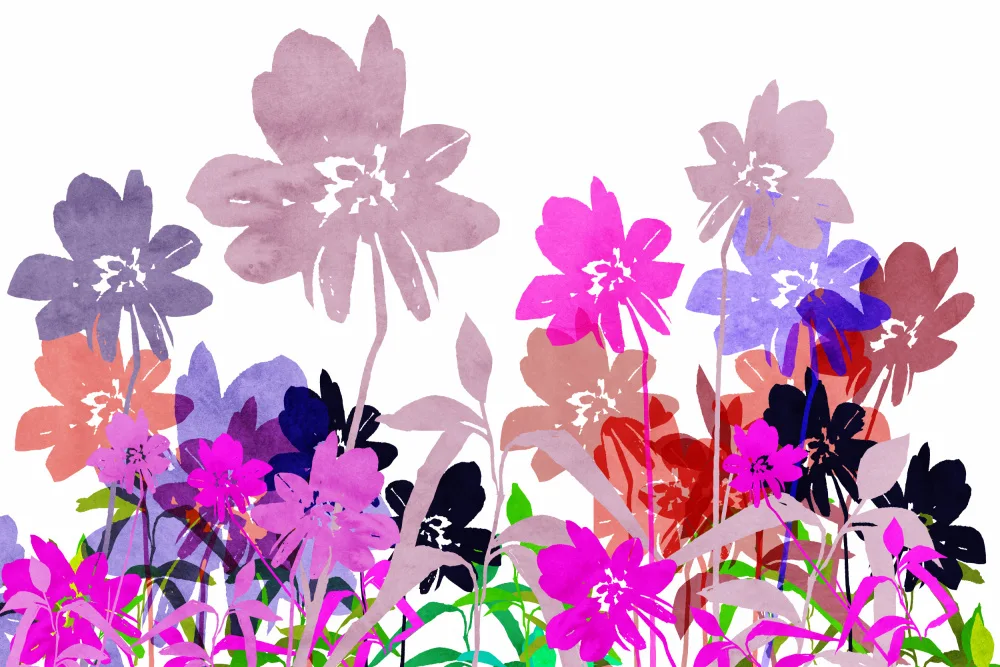 cartissi: Field of Flowers