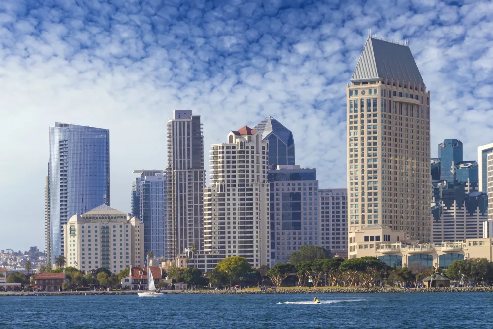 Viola, Melanie: Orizzonte di SAN DIEGO