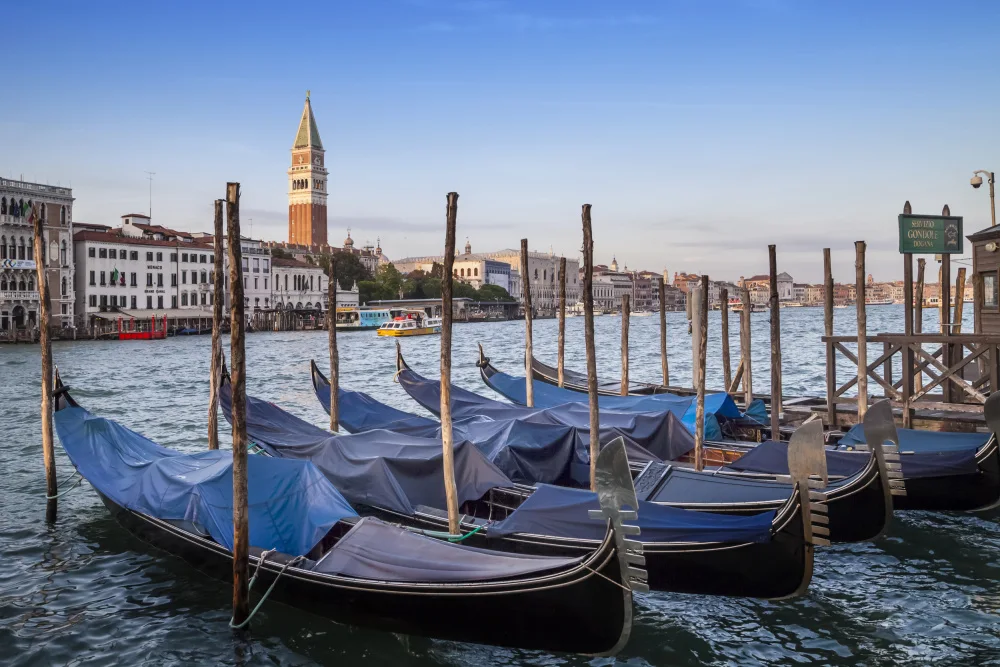 Viola, Melanie: VENEZIA Canal Grande e Campanile di San Marco