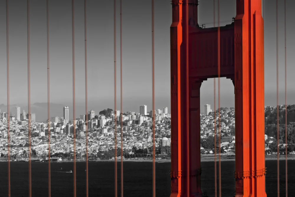 Viola, Melanie: Il Golden Gate Bridge in dettaglio