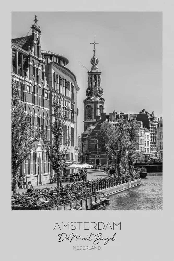 Viola, Melanie: V centru pozornosti: AMSTERDAM De Munt