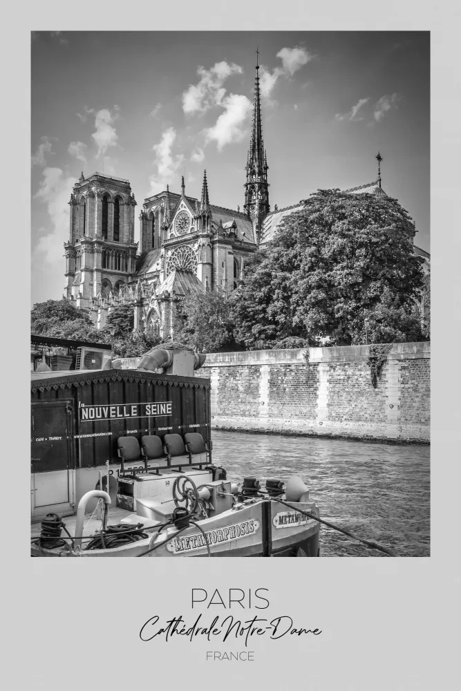 Viola, Melanie: Focus : PARIS Cathédrale Notre-Dame