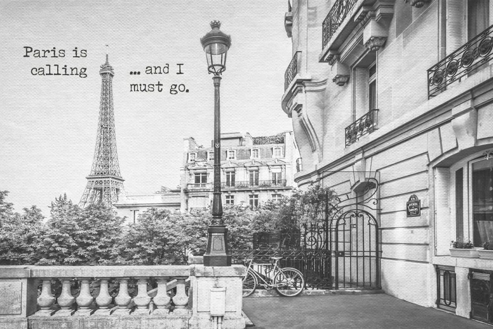 Viola, Melanie: Paris appelle