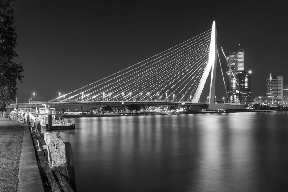 Viola, Melanie: ROTTERDAM Erasmus Bridge with Willemskade by night | Monochrome