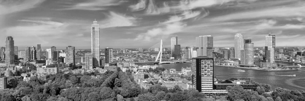 Viola, Melanie: Panorama unique de Rotterdam vu depuis l'Euromast | Monochromes