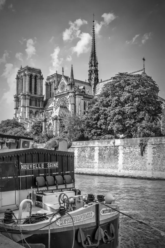 Viola, Melanie: Katedrála Notre-Dame a nábřeží Seiny