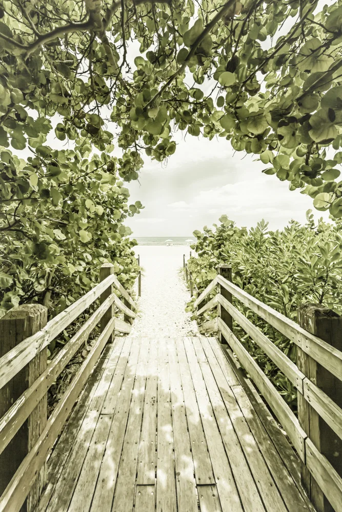 Viola, Melanie: Ponte a Miami Beach