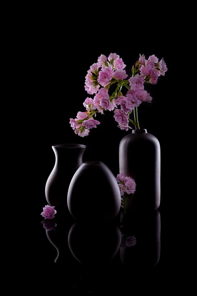 GaoSL: Flowers and Vases