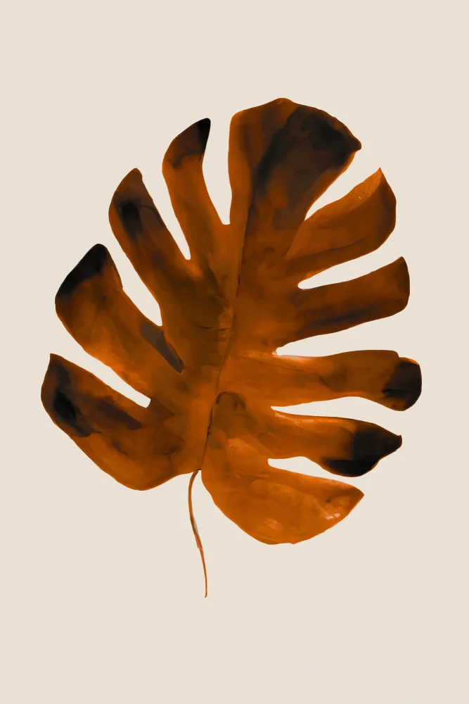 Takken, Merel: Leaf Me
