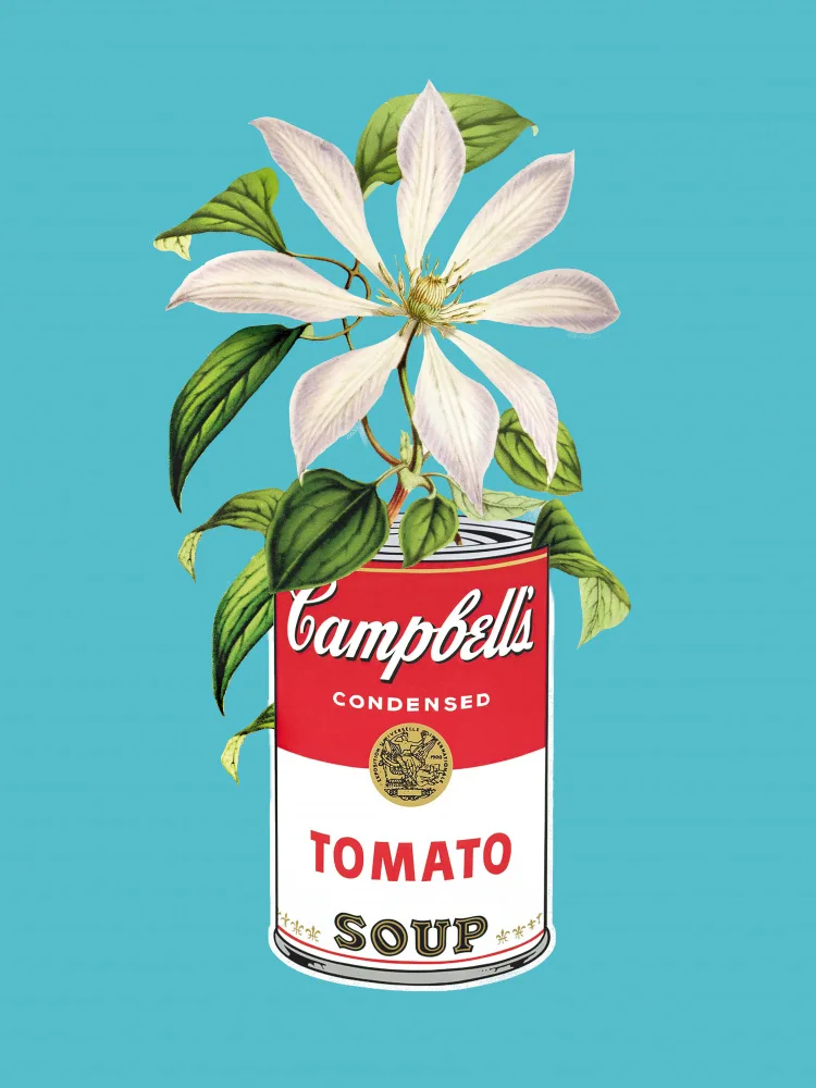 Dikhotomy: Campbells and Flowers