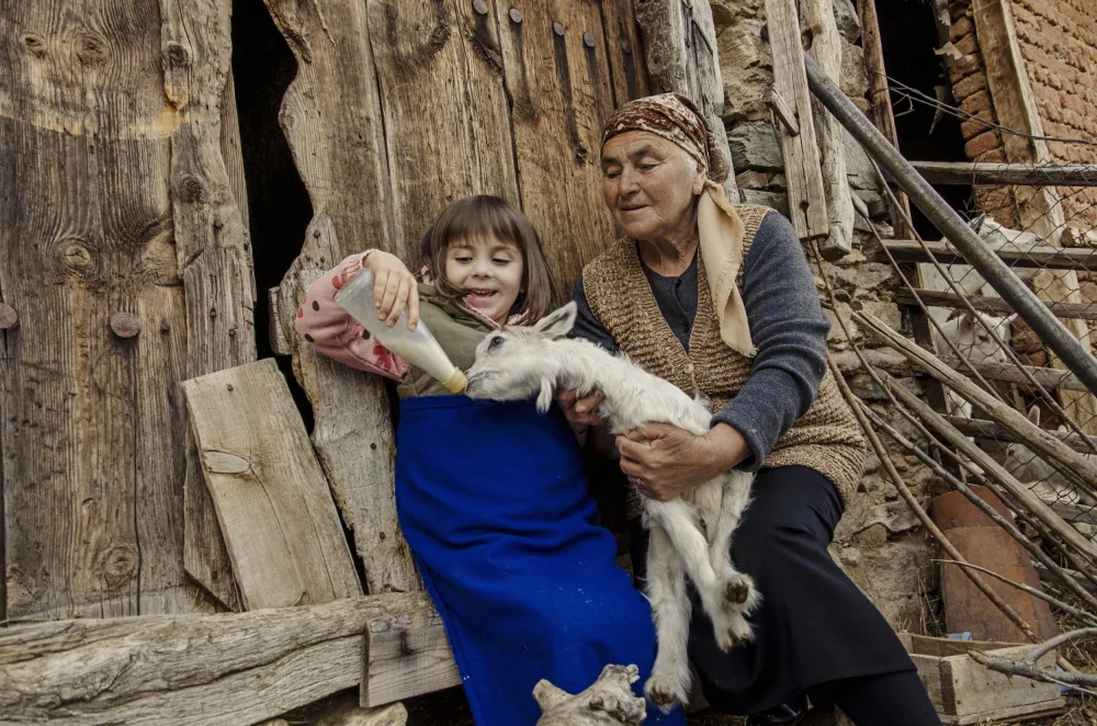 Ignatova, Desislava: the lessons on grandma