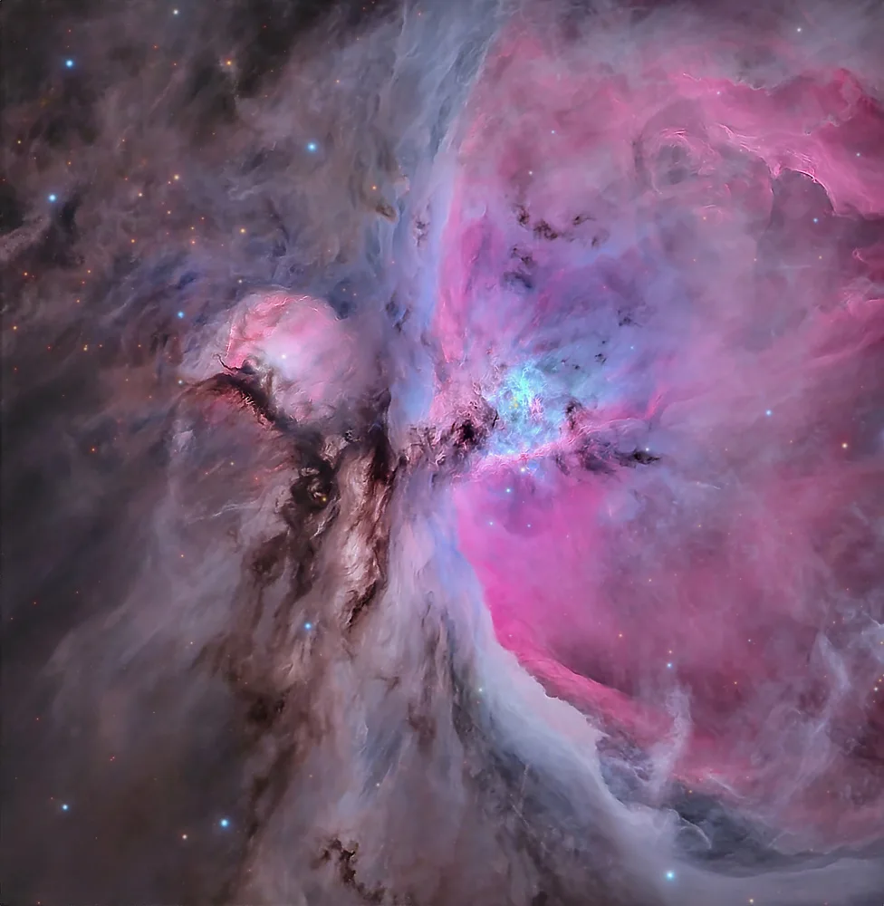Rodriguez, Maria Rosa: In the heart of Orion