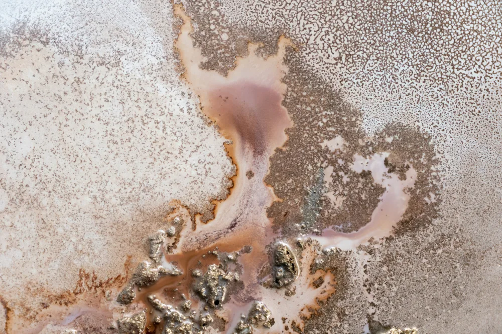 de, Meikle Petra: Discovery