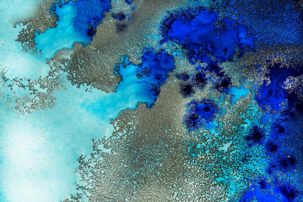 de, Meikle Petra: Reef Resonance