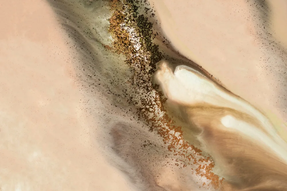 de, Meikle Petra: Coastal Dunes