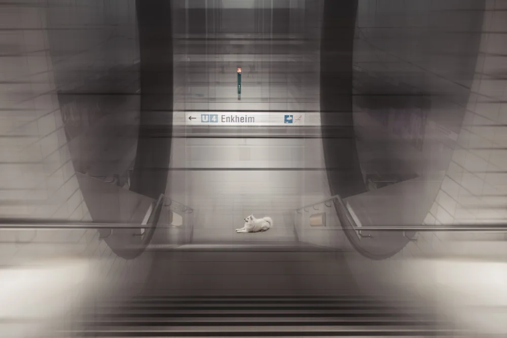 Willers, Heike: The Guardian