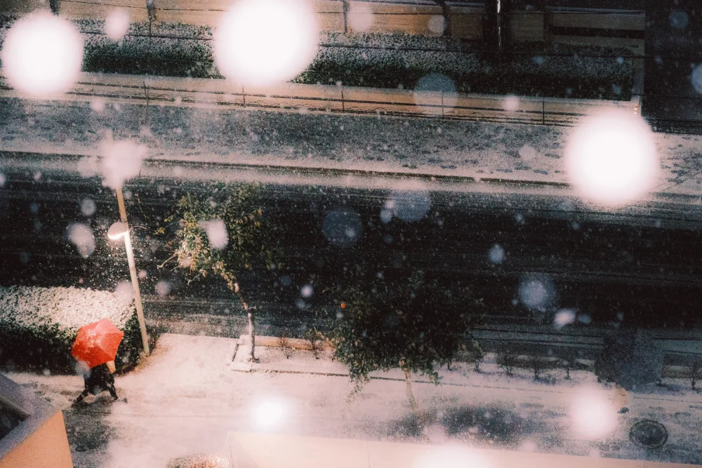 HIDASAN: snowfall tokyo