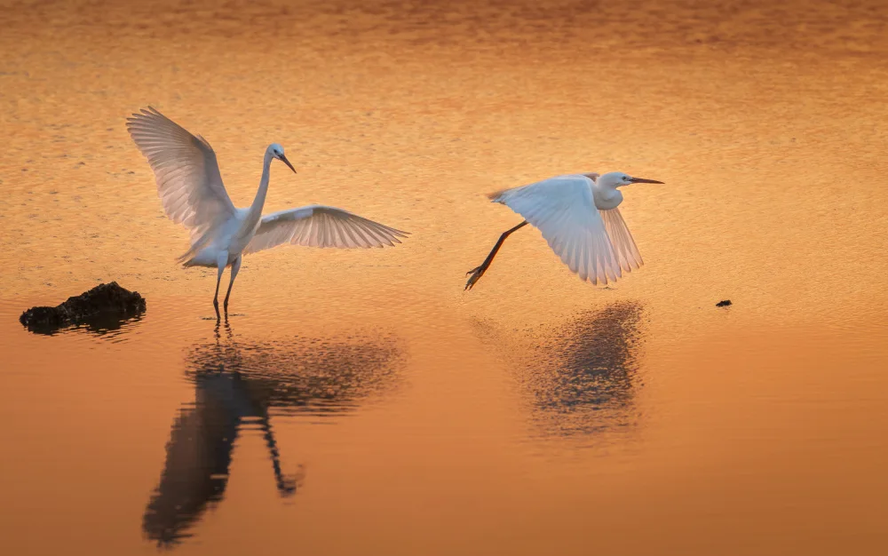 Jian, Li: In the Sunrise