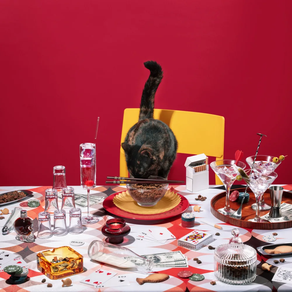 Ramiro, Julia: Fête féline