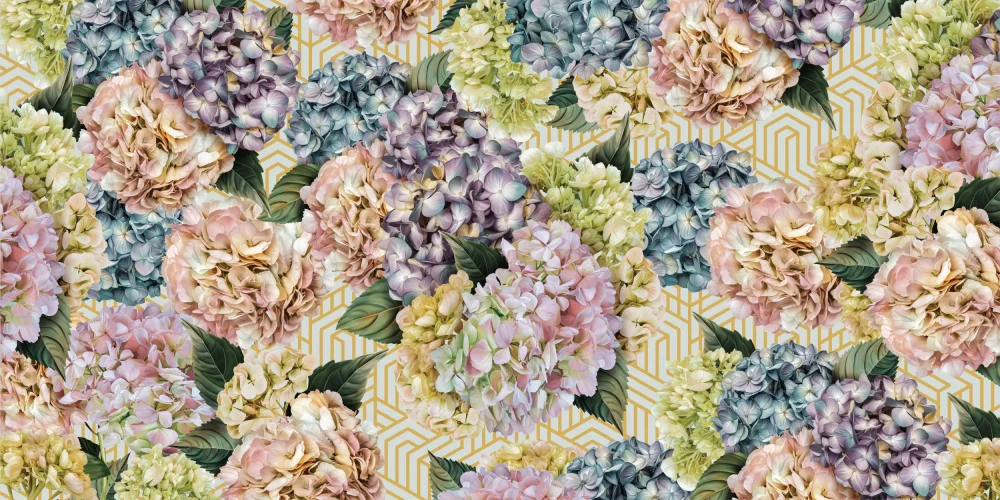 Skellern, Sue: Hydrangeas_Gold Sky