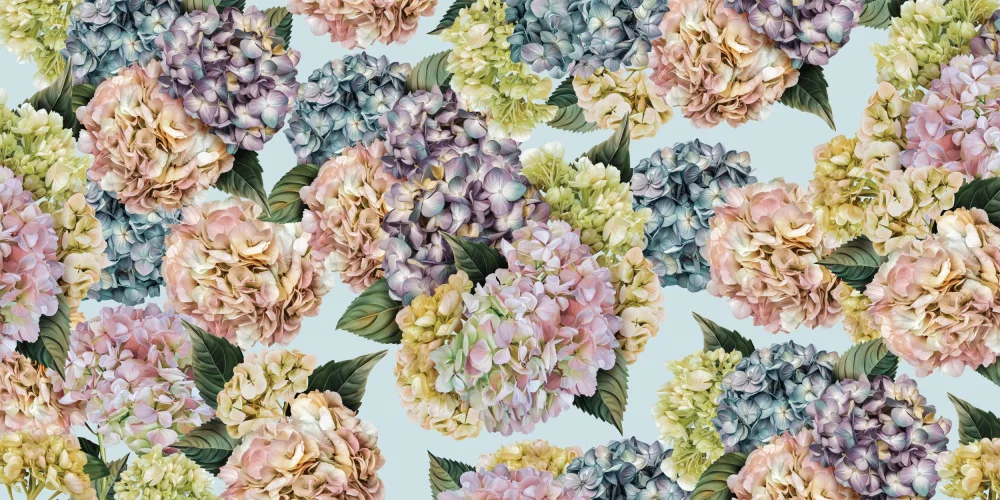 Skellern, Sue: Hydrangeas_Sky